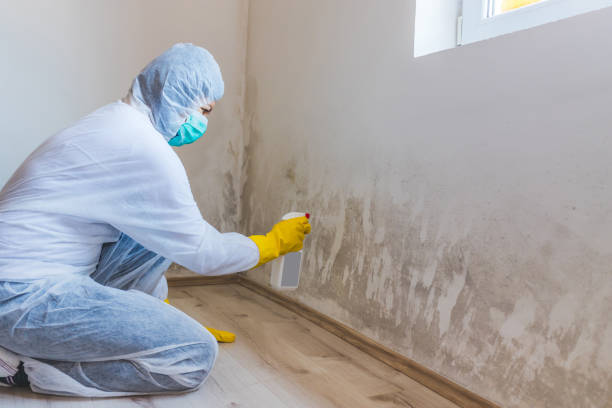 Licensed Mold Inspection service in Fulton, MD - WQB Mold Removal