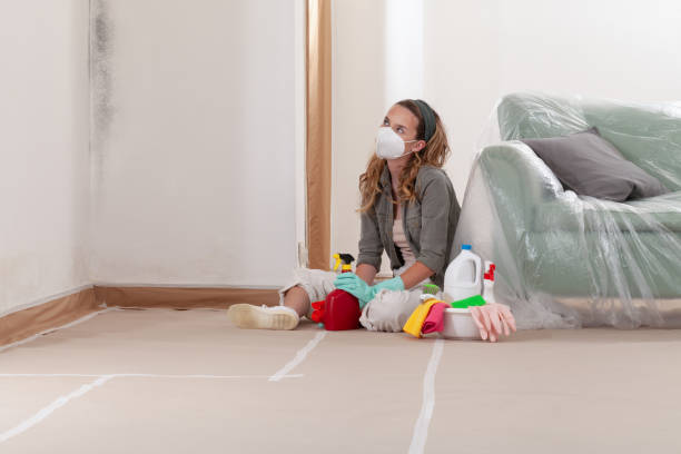 Reliable Mold Inspection contractor in Fulton, MD by WQB Mold Removal